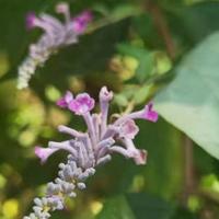 唐砖盛世大唐读后感总汇