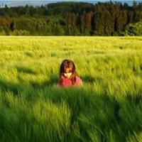 竹子这篇文章的观后感集合