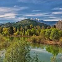 黄克功案件电影观后感聚集