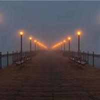 青春宁波直播观后感收集