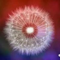 一篇关于自信的读后感汇总