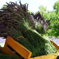 父母爱情观后感大全摘录