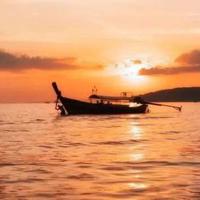 四合院暴风雪行动读后感汇合