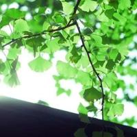 清晨望哨图观后感精选