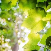 哲学的故事读后感汇总