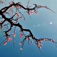 阅兵仪式二年级观后感作文汇集