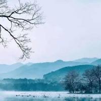 城市生态规划观后感收集