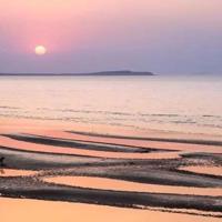 禁毒小短文观后感锦集