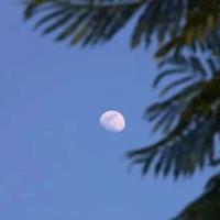 龙之谷观后感200细选