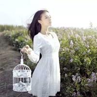 蝙蝠和雷达读后感500字选录