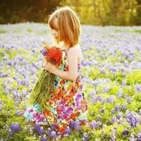 《大秦赋》第15集观后感聚集