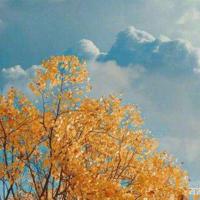 日本人看举起手来观后感汇编