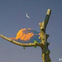 母亲电影观后感韩剧整理