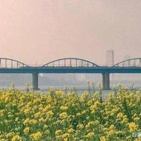 秋潮读后感500字左右细选