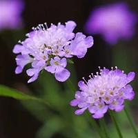 天之炽读后感400字合集