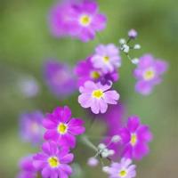 胜利之路60周年观后感收集