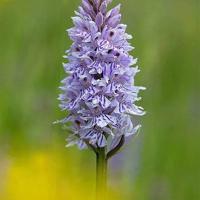 最后一次的讲演读后感集锦