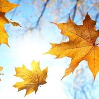 群众路线永恒观后感选录