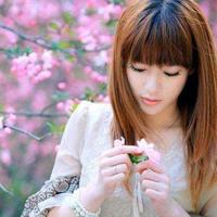 看完古琴七弦琴的观后感集锦