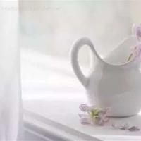 鱼鹰读后感5000字聚集