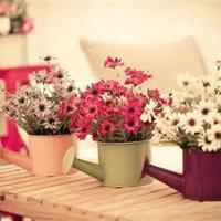 读后感可以写习俗吗合集