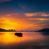 会飞的鸭子小铜匠读后感精选