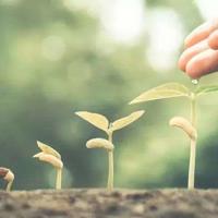 失落的那一角读后感200总汇