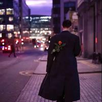 画杨桃作文读后感细选