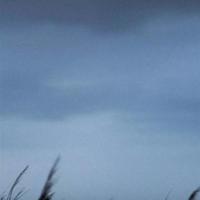 竹节的力量第一章的读后感选录