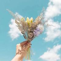 《嘉莉妹妹》读后感合计