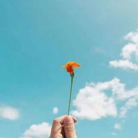 安全知识手册读后感合计