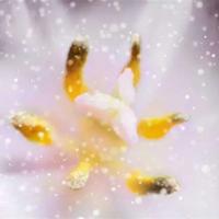 弟子规读后感250左在选录