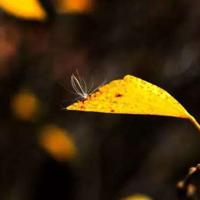 窃读记的读后感400字汇集