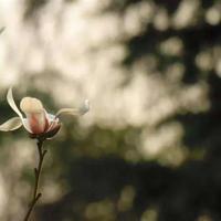 我这样做班主任读后感大全汇集