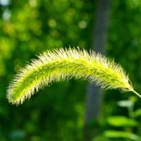 姜子牙这篇电影读后感汇合