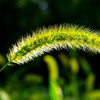 记金华的双龙洞读后感合集