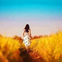 有美一朵向晚生香读后感合计