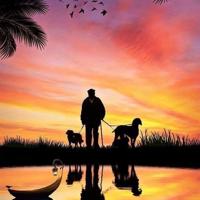 神亭交手读后感一百字集锦