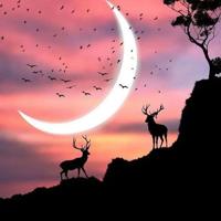 观看我是谁读后感聚集