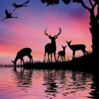 花的勇气读后感350字选录