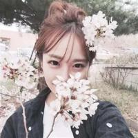 听大象的故事读后感聚集