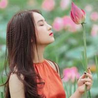 我家的狗狗读后感汇聚