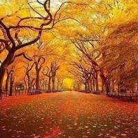 老舍草原读后感150字汇编