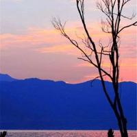 奇妙之旅英语读后感合集