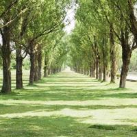 火与冰读后感1000字整理