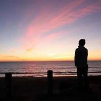 望月怀远和乡愁读后感收集