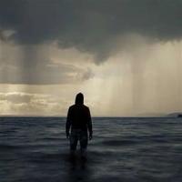 《牛的母爱》读后感精练