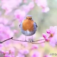 给冰棍洗澡作文的读后感合计