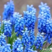 叫声妈妈读后感350字汇总