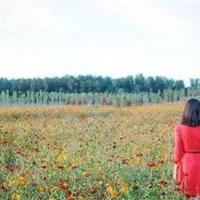 纳米技术在身边日记读后感汇合